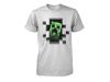 Polo niño Minecraft Creeper Inside Grey #1