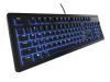 SteelSeries Apex 100 Keyboard #2