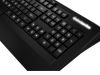 SteelSeries Apex Raw Keyboard #3