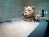 Ted Blu-ray #2