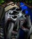 avatar de GosuLily