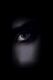 avatar de GuNNer